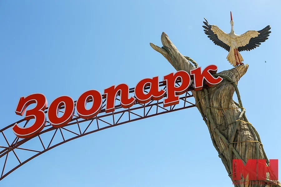 Семейный фестиваль DINO fest в Минске