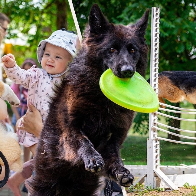 Фестиваль для любителей домашних животных в Лейксайд Парке