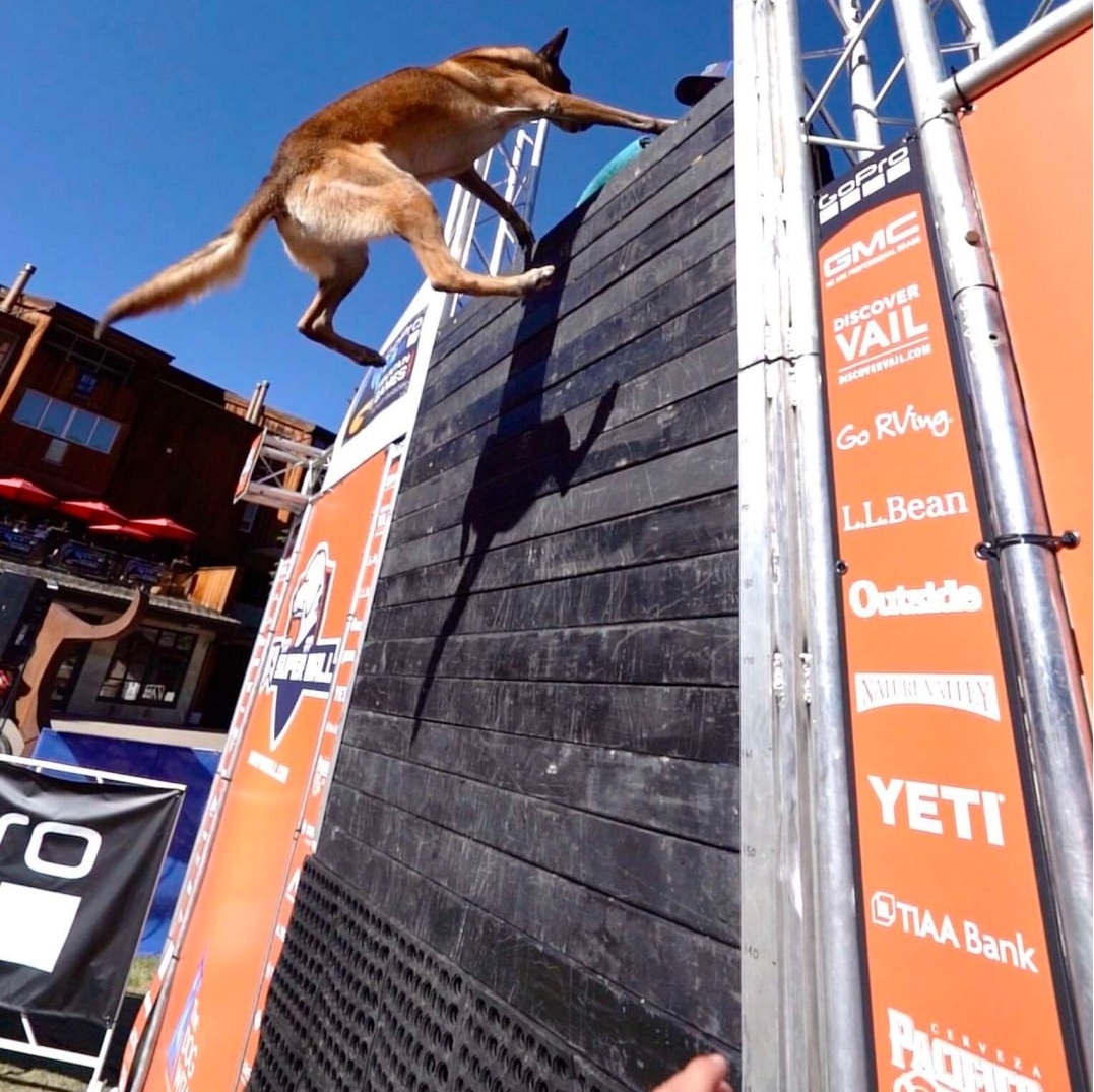 Pet Lovers Festival at Lakeside Park