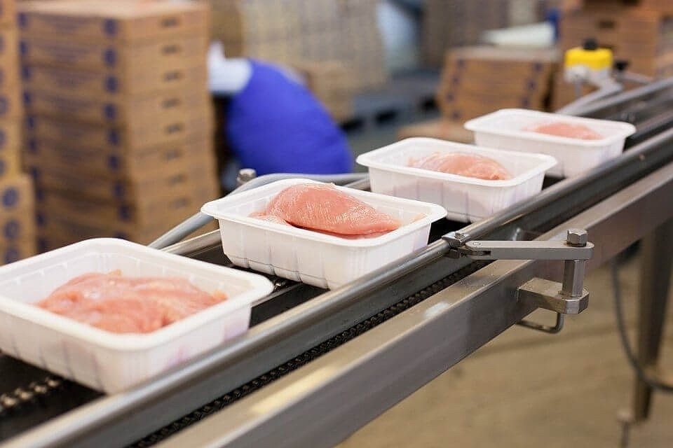 Job vacancies at a large poultry farm in Minsk and Minsk region