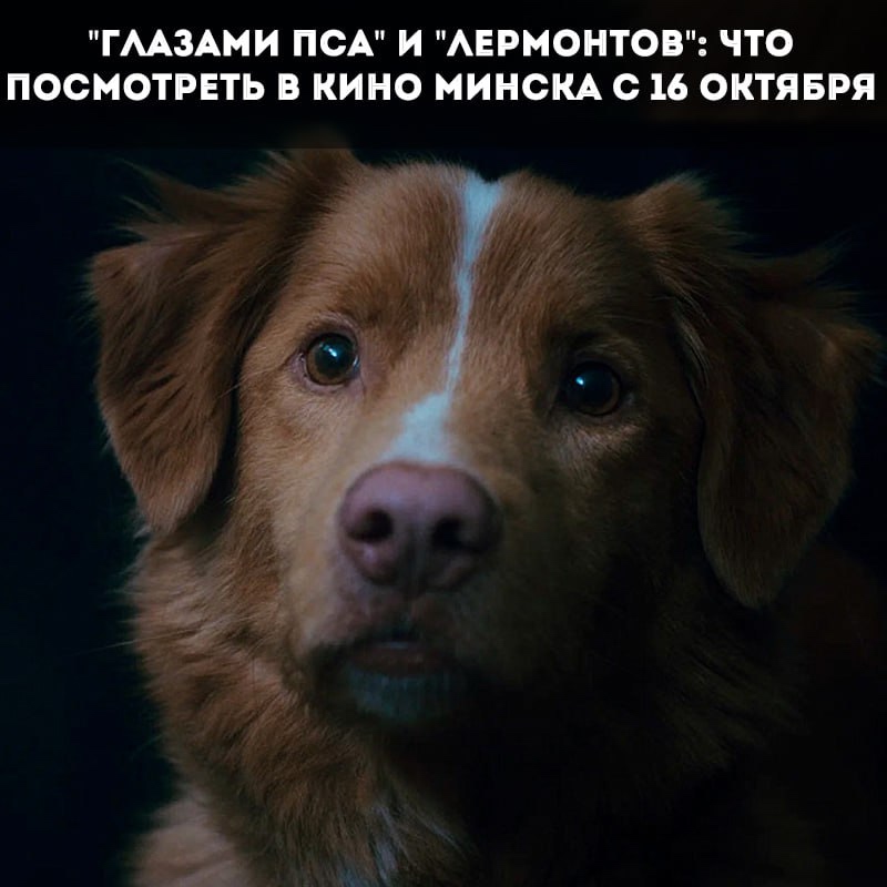 Новинки кино в Минске с 16 октября: от классики до научно-фантастики