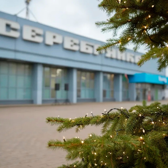 Family Celebration with Ded Moroz and Entertainment by 'Santa' Store Network