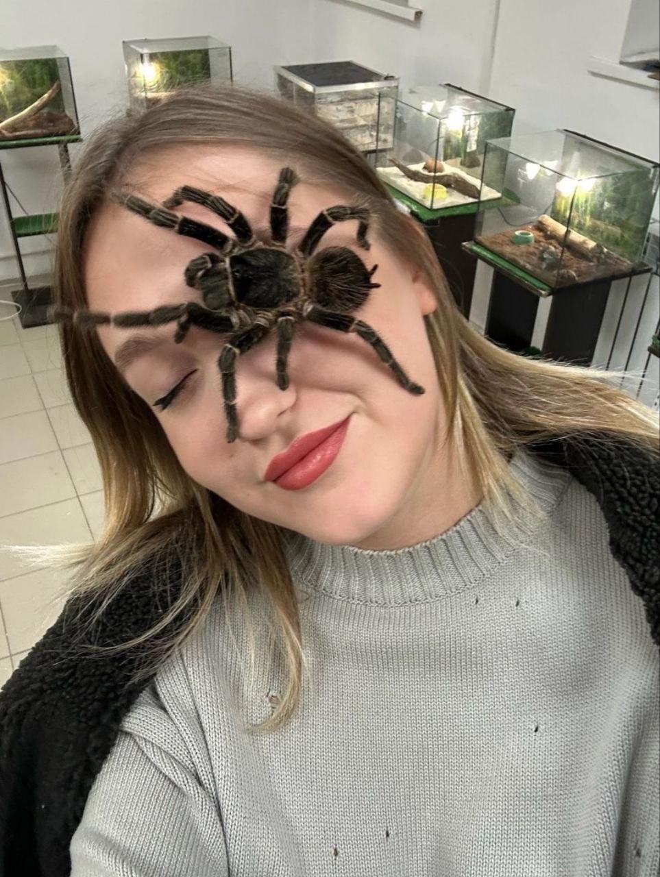 Интерактивная выставка пауков и рептилий в Минске