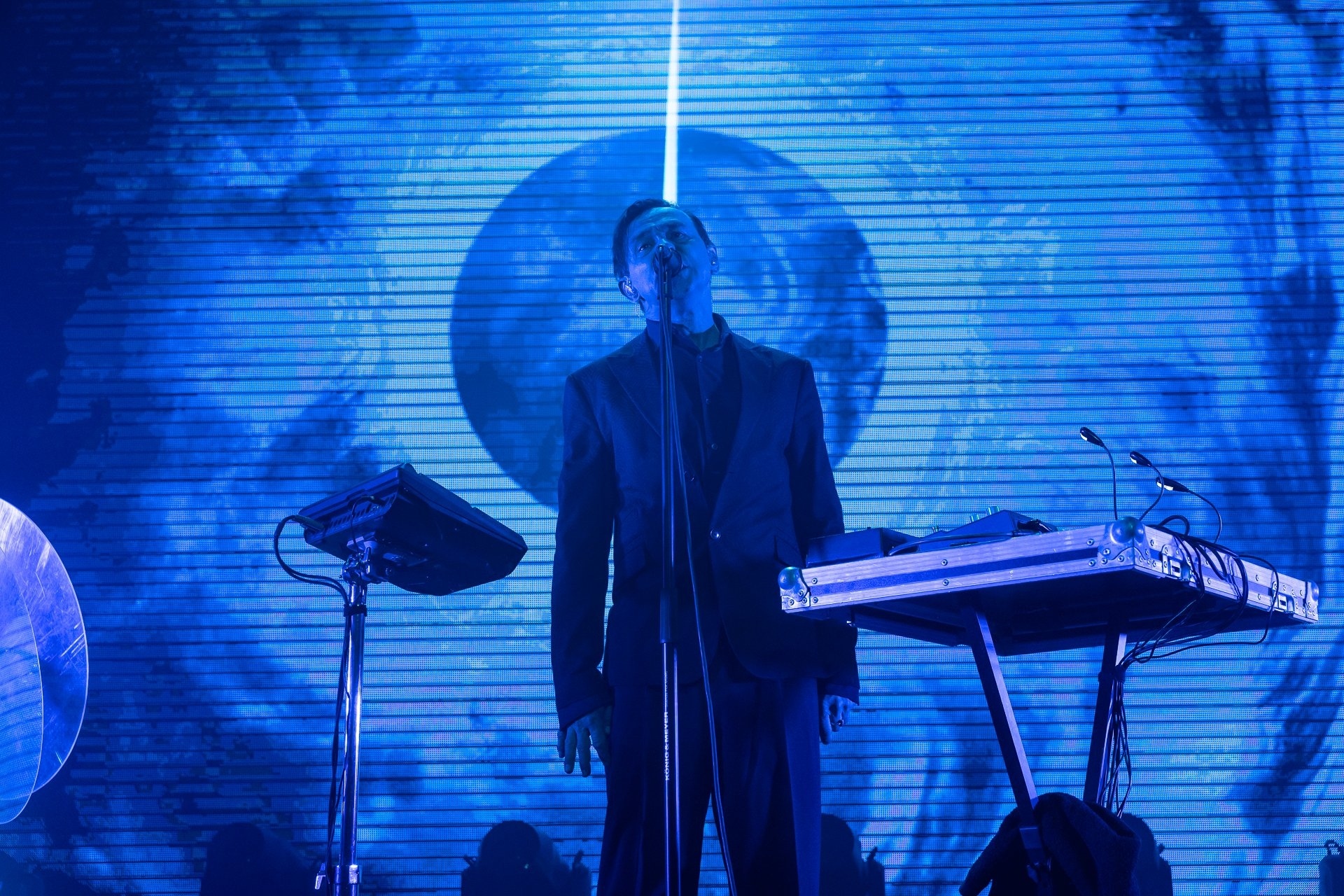 Delfin's Concert in Minsk