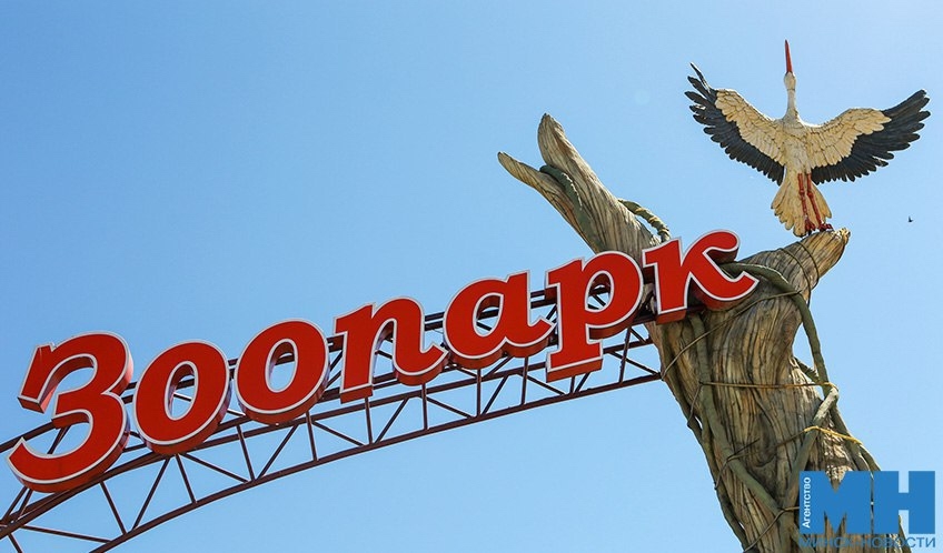 Quest 'Monsters on Vacation' in Minsk