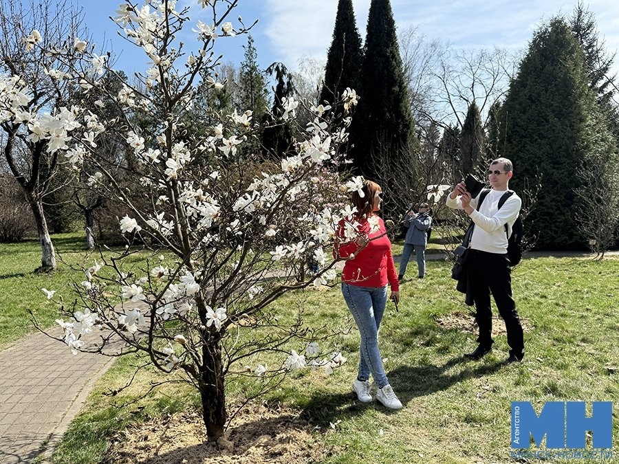 Цветущая фотозона в Минске: сакура и магнолии в ботаническом саду