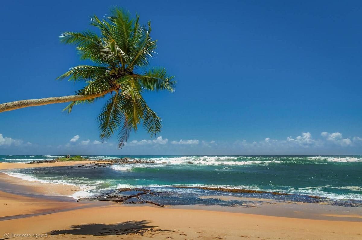 Belavia Flights to Sri Lanka Resume