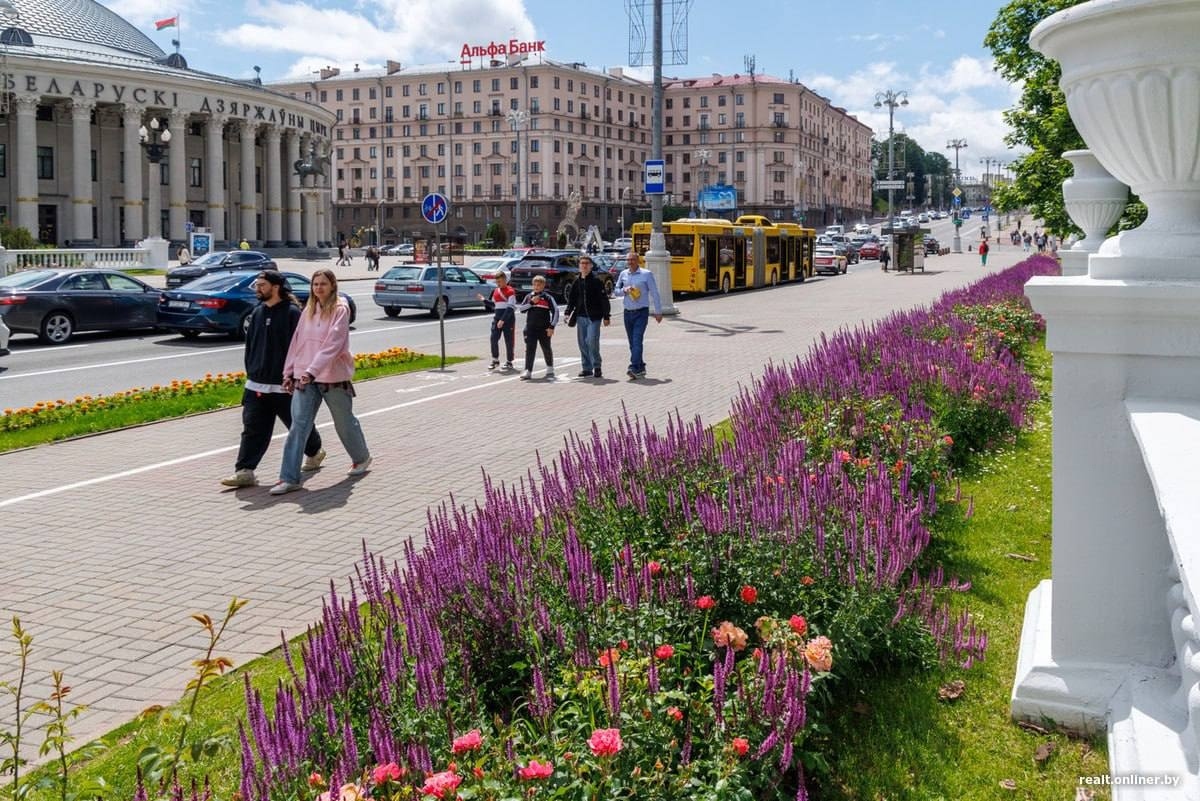 Take lavender field-style photos right in Minsk!